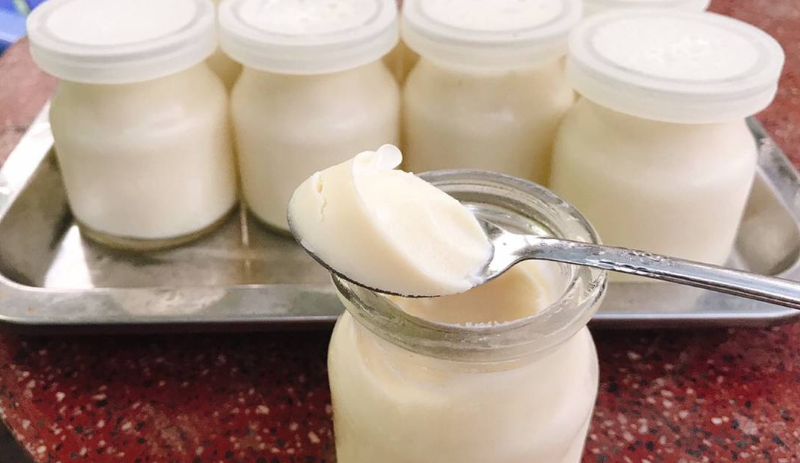 bo-tui-cach-lam-sua-chua-deo-min-don-gian-tai-nha