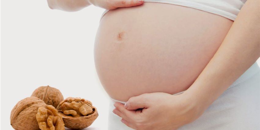 sua-oc-cho-la-gi-cong-dung-cua-sua-oc-cho