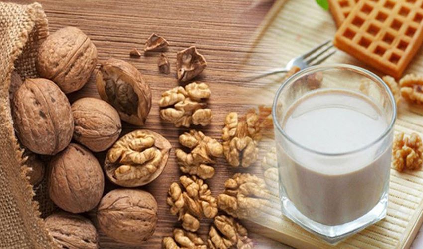 sua-oc-cho-la-gi-cong-dung-cua-sua-oc-cho